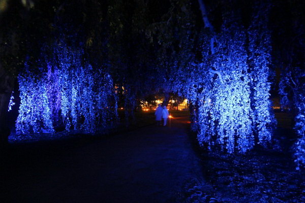 Ilumina_2014   019.jpg
